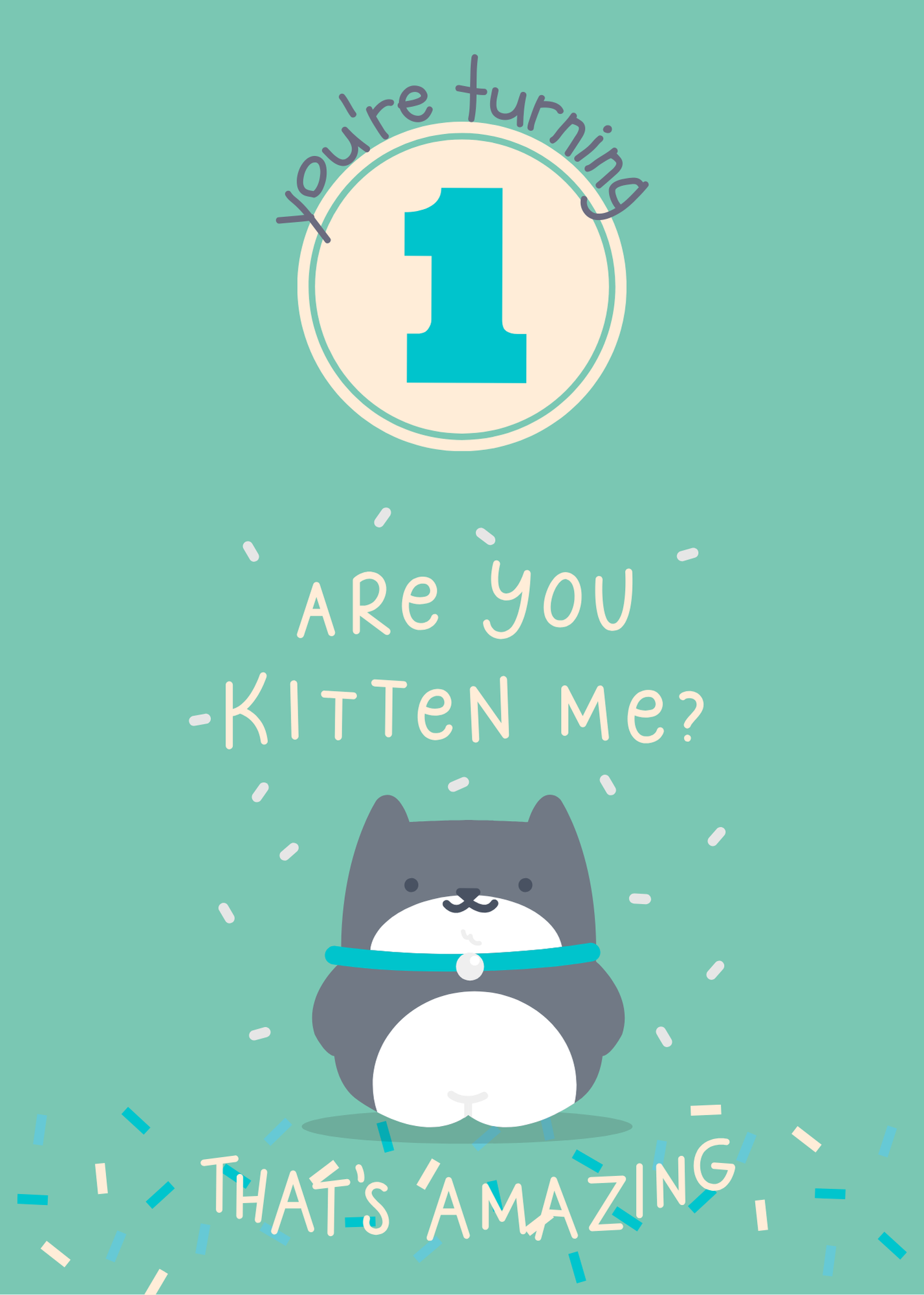 1 Year Old Birthday Kitten