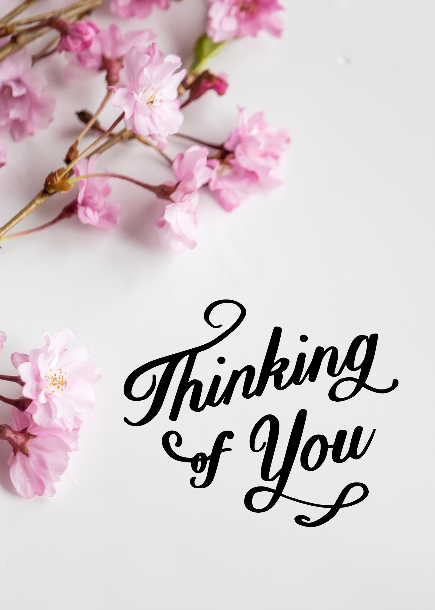 Pink & Grey Thinking of You