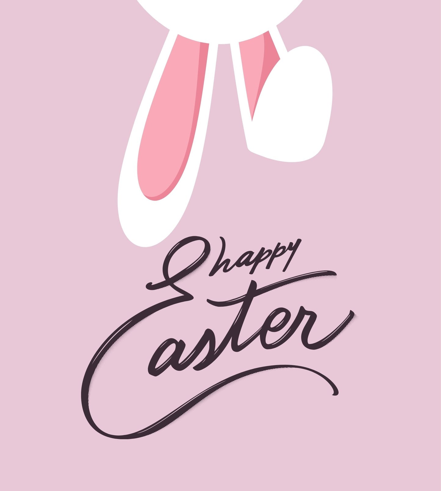 Playful Bunny