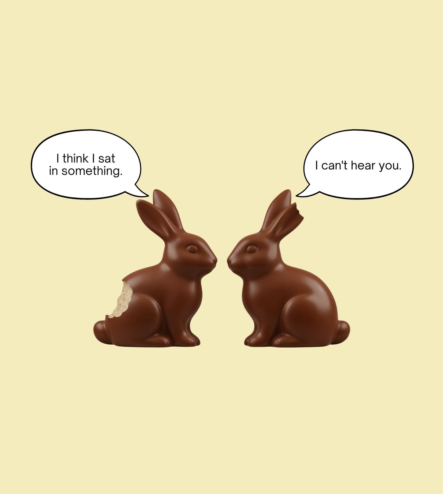 Funny Bunnies