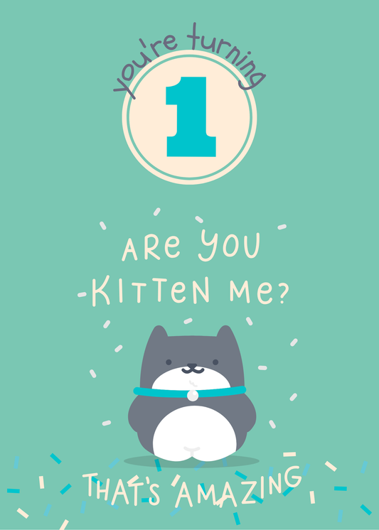 1 Year Old Birthday Kitten