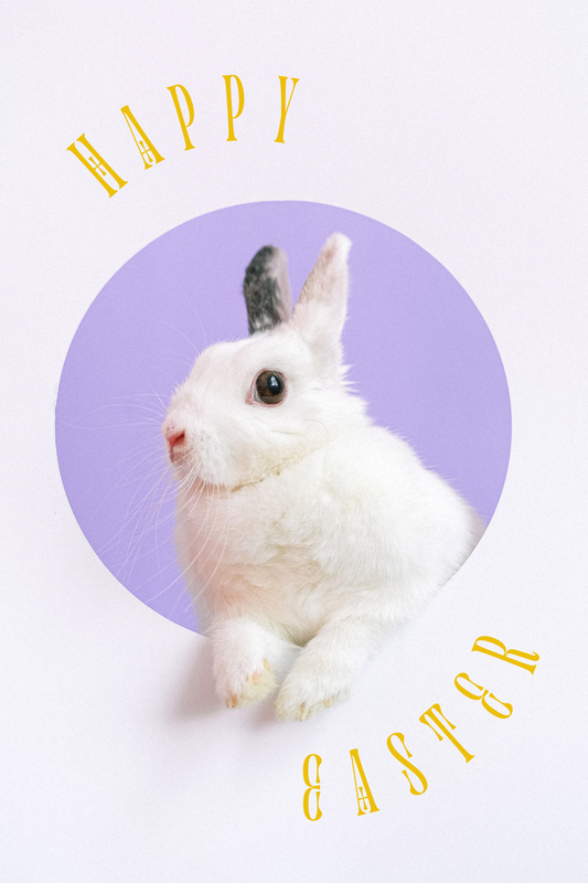 Happy Easter Bunny