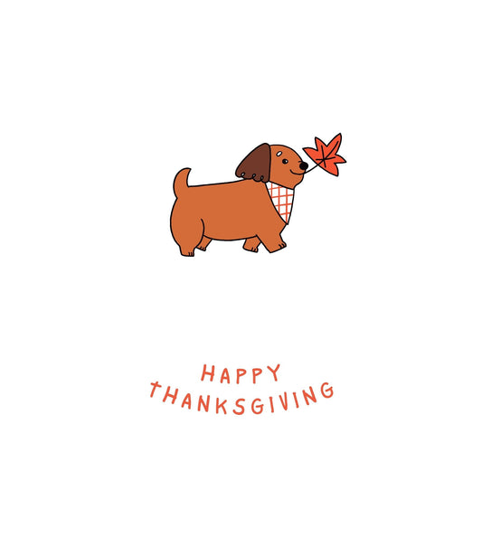 Thanksgiving Dog